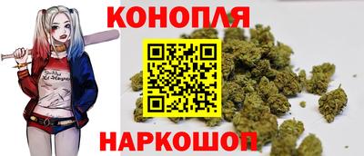 крисы Ярославль