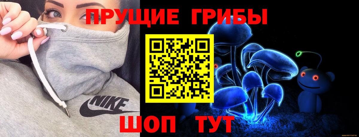 Псилоцибиновые грибы GOLDEN TEACHER Спасск-Дальний