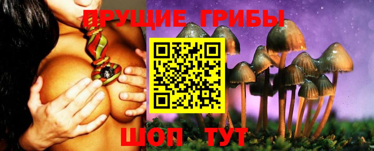 Спасск-Дальний  Псилоцибиновые грибы прущие грибы  Вход с VPN 